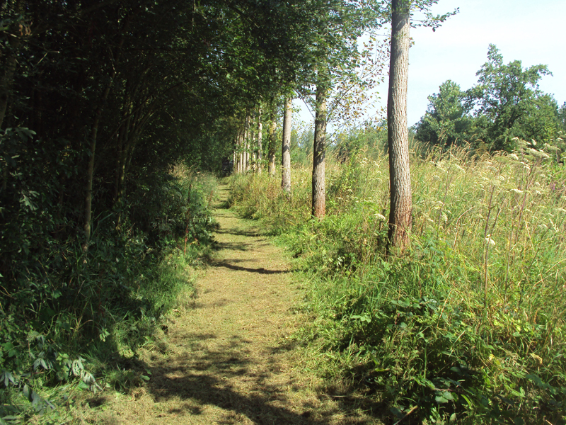 Natuurvereniging Limburgs Landschap Natuur In Limburg