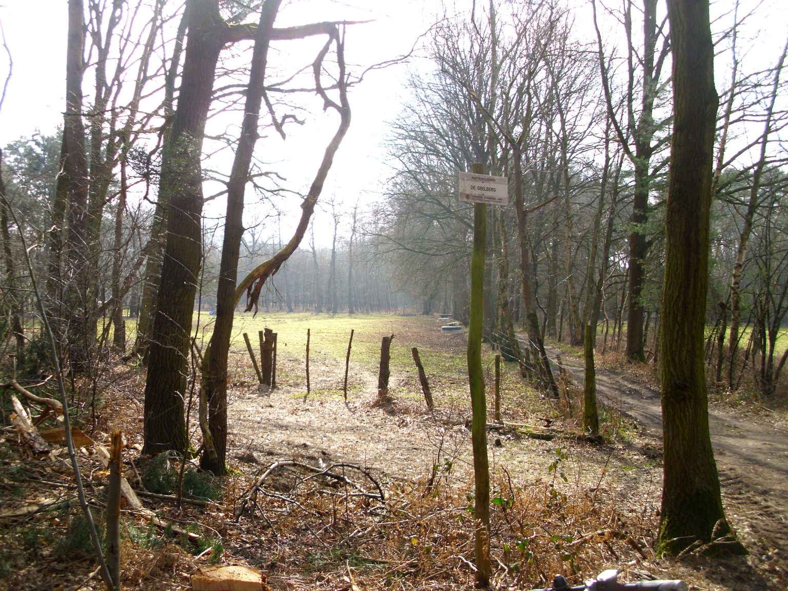 Natuurgebied Geelberg Limburgs Landschap