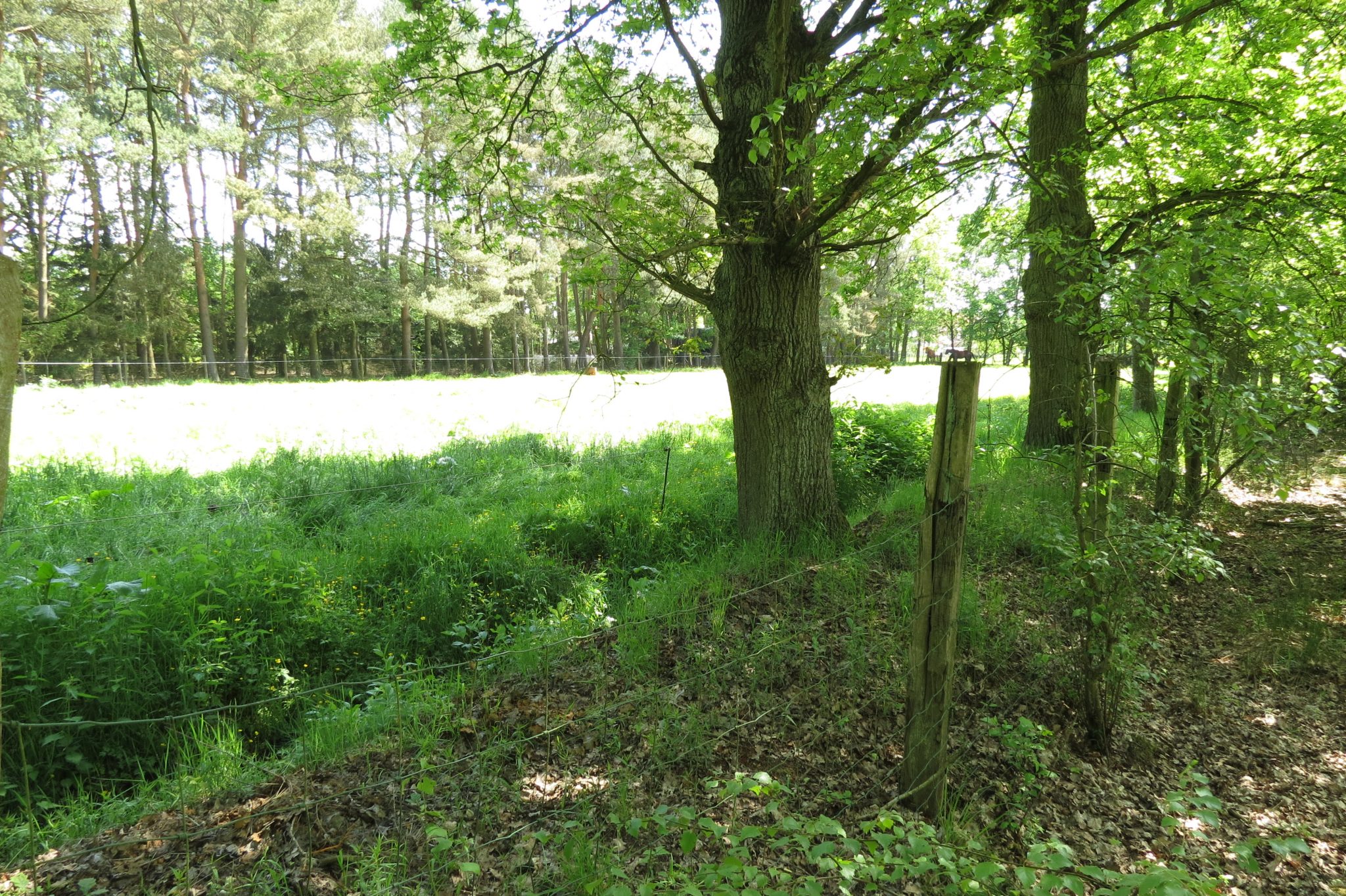 Natuurgebied Laambroeken Limburgs Landschap