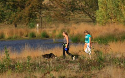 Corona-update: Limburgs Landschap vzw blijft bereikbaar, net als onze natuur