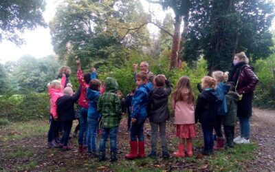 Limburgs Landschap laat meer dan 800 kinderen in het bos ravotten