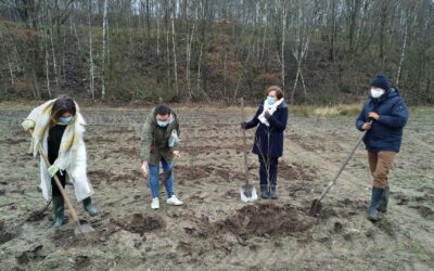 Aanzet voor 12 ha nieuw bos aan de Zwarte Berg