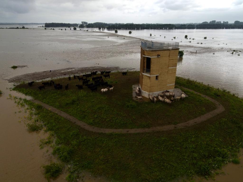 Overstromingen, zegen of ramp voor de natuur?