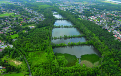 Natuurgebied Caetsweyers (Diepenbeek) wordt hersteld