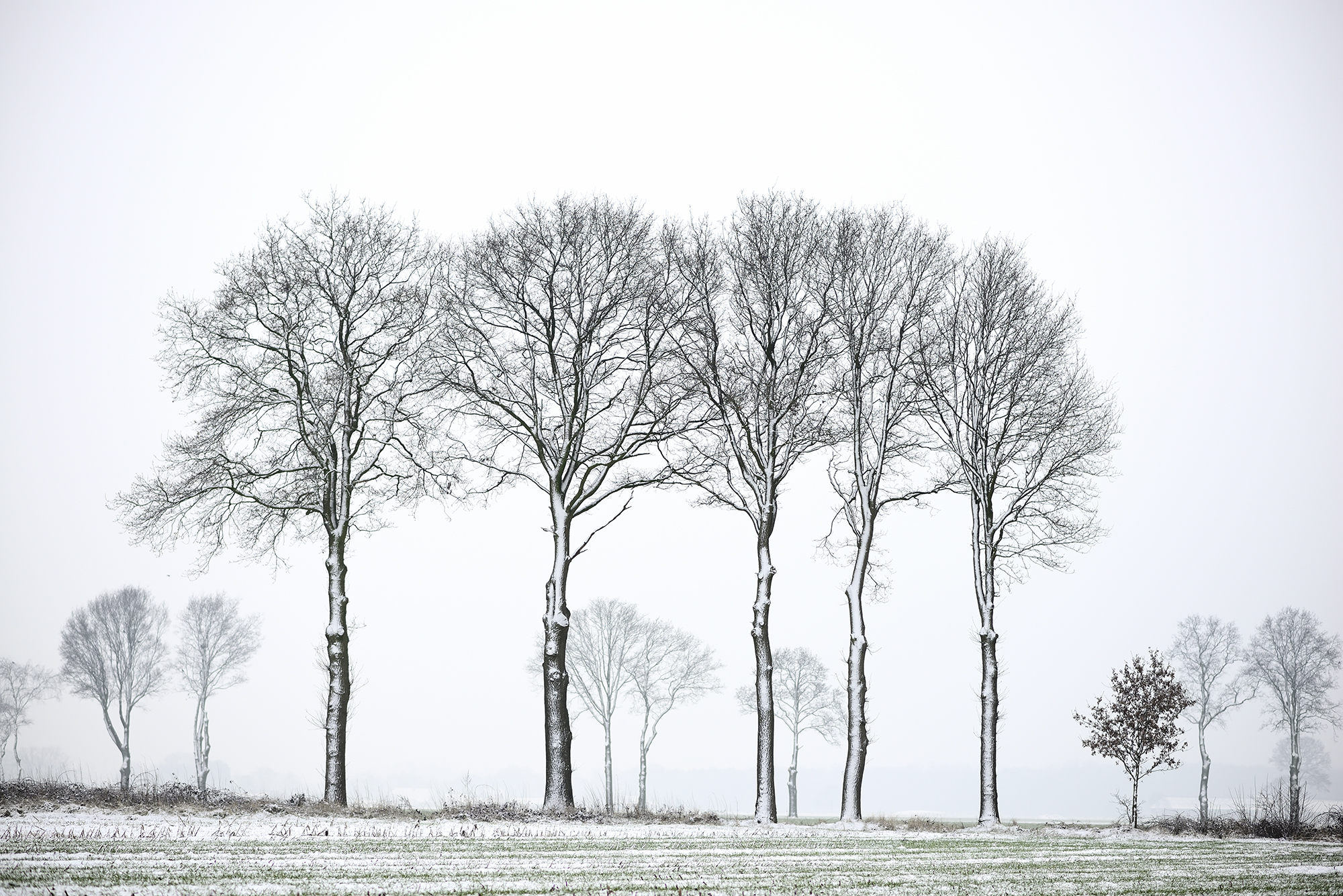 Winter landschap