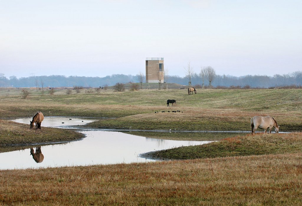 Uitkijktoren-Negenoord