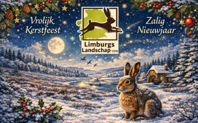 🎄✨ Een warme kerstgroet uit het Limburgse landschap ✨🦌