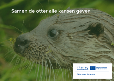 Otter over de grens