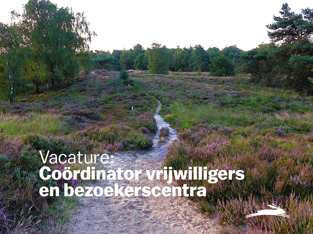 Vacature: Coördinator vrijwilligers en bezoekerscentra (m/v/x)
